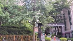 매물 리스트 썸네일